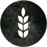 Pipcorn discount code